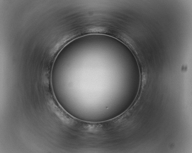 X0000113260345200909171655