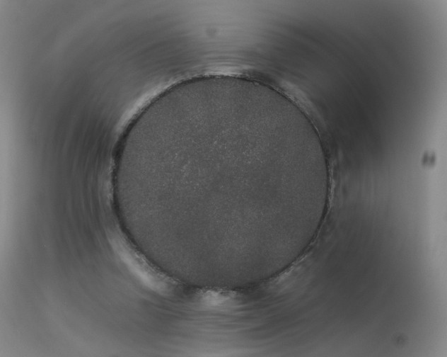 X0000113260346200909171655