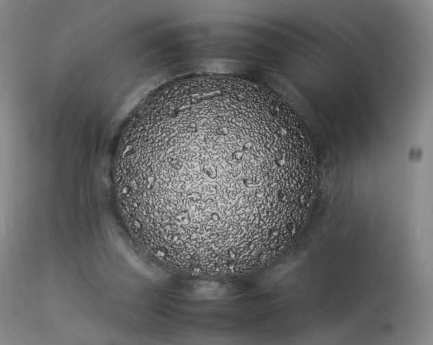 X0000113260347200909171655