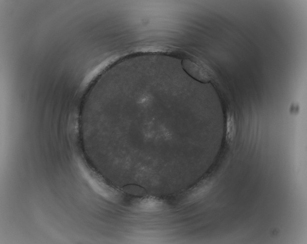 X0000113260348200909171655