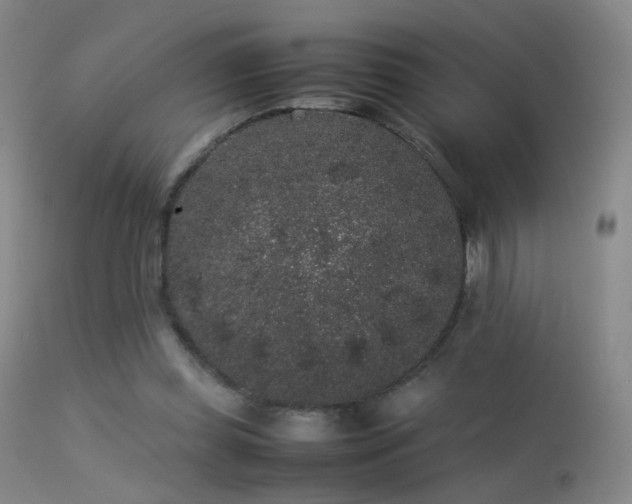 X0000113260349200909171655