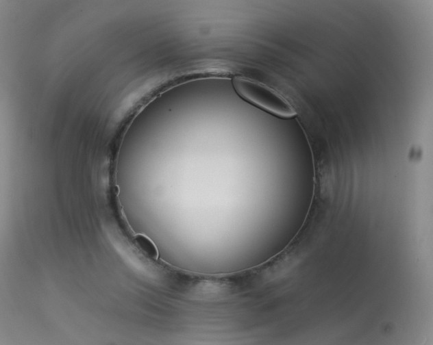 X0000113260350200909171655