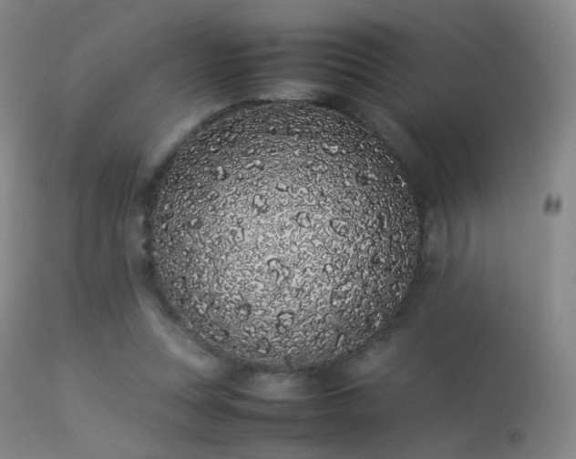 X0000113260351200909171655