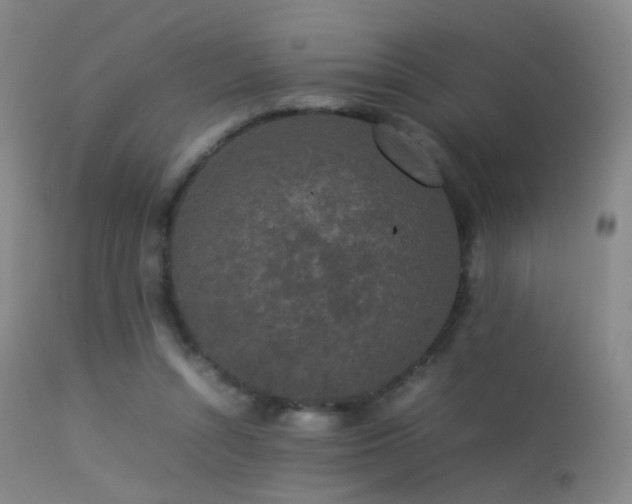 X0000113260352200909171655