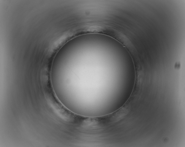 X0000113260354200909171655