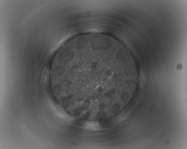 X0000113260355200909171655