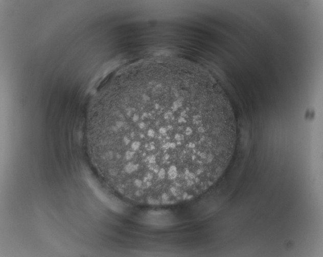 X0000113260357200909171655