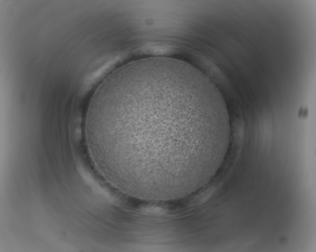 X0000113260358200909171655