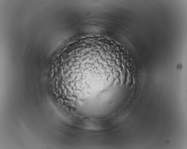 X0000113260359200909171655