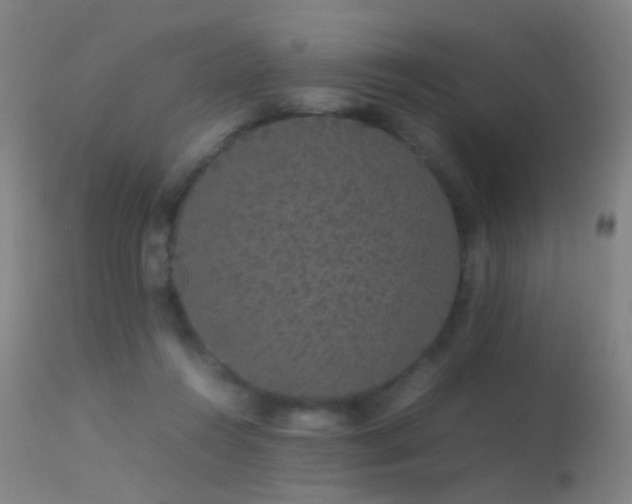 X0000113260360200909171655