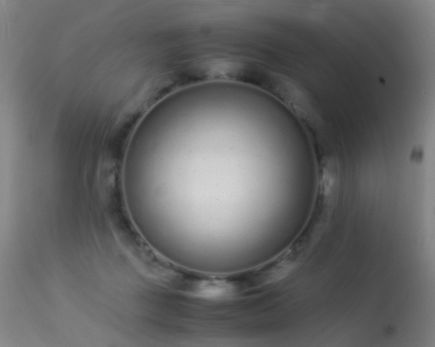 X0000113260363200909171655