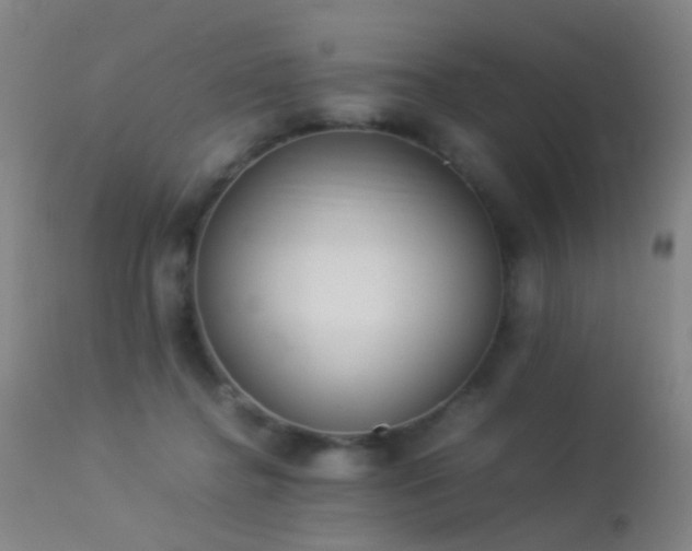 X0000113260364200909171655