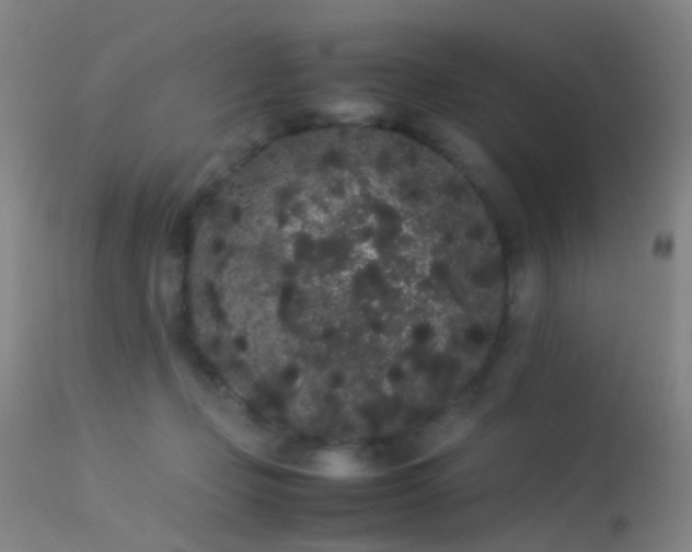 X0000113260365200909171655