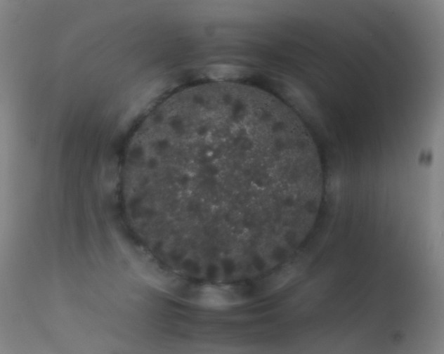 X0000113260367200909171655