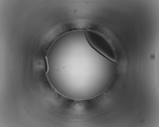 X0000113260368200909171655