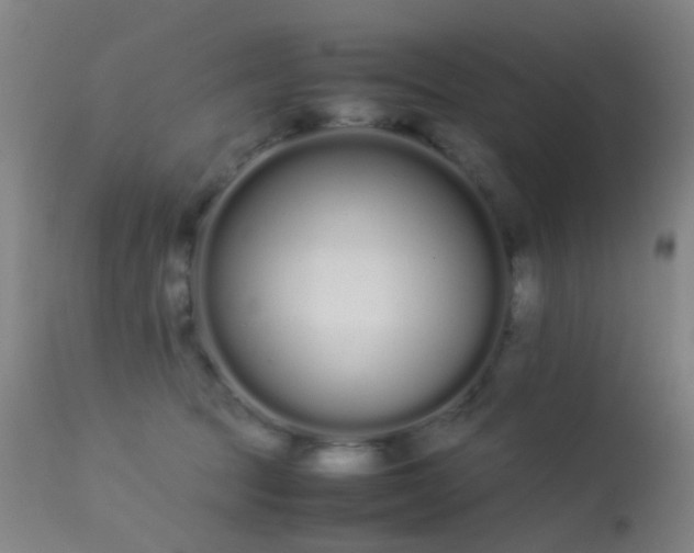 X0000113260369200909171655