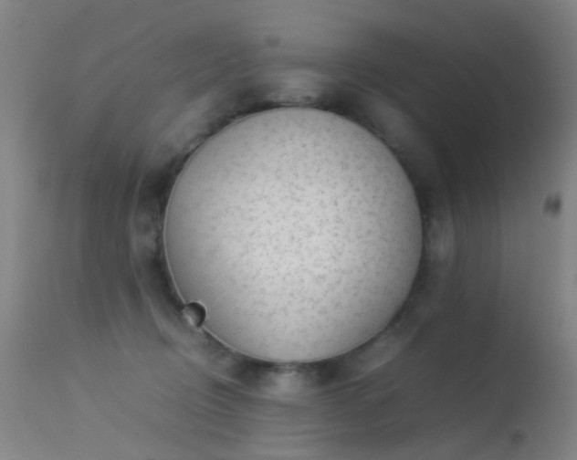 X0000113260370200909171655