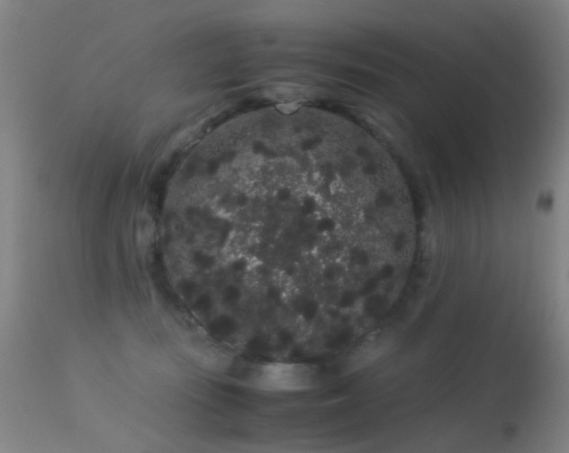 X0000113260371200909171655