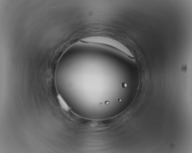 X0000113260372200909171655