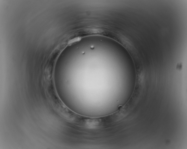 X0000113260373200909171655