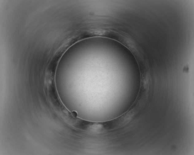 X0000113260374200909171655