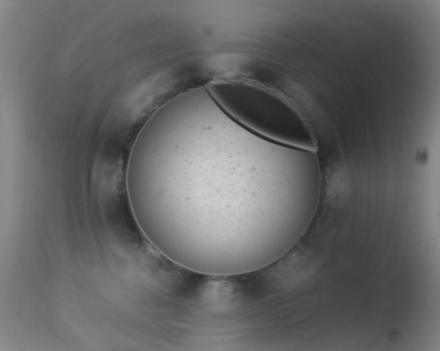 X0000113260376200909171655