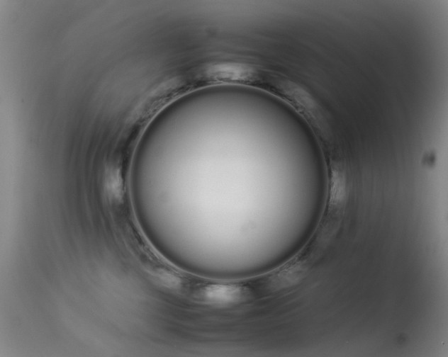 X0000113260377200909171655