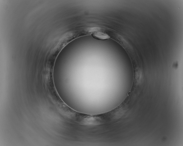 X0000113260379200909171655