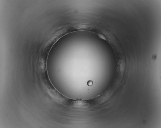 X0000113260380200909171655