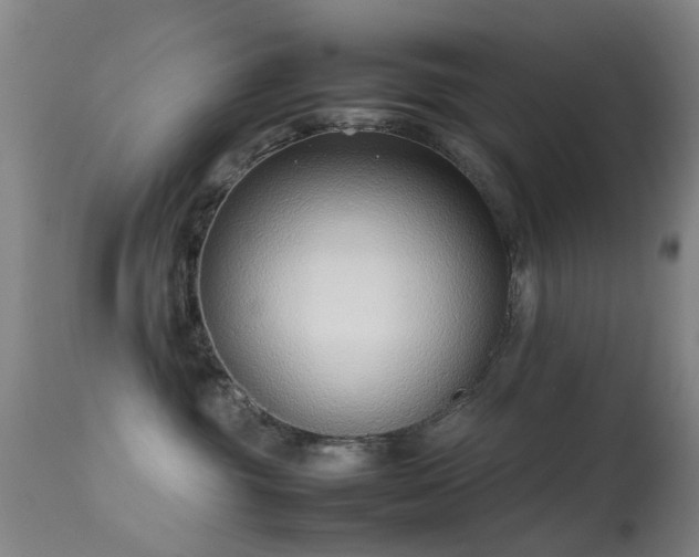 X0000113260381200909171655