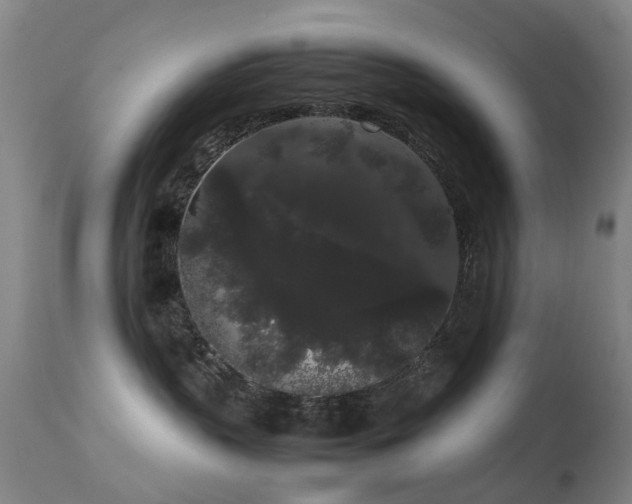 X0000113260383200909171655