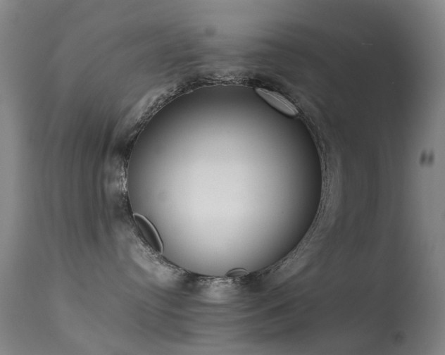 X0000113260384200909171655