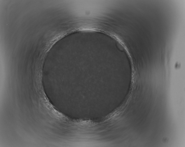 X0000113260385200909171655