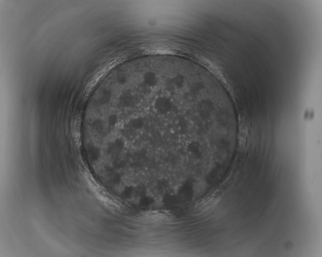 X0000113260386200909171655