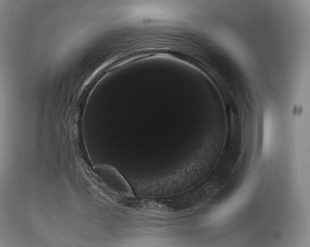 X0000113260387200909171655