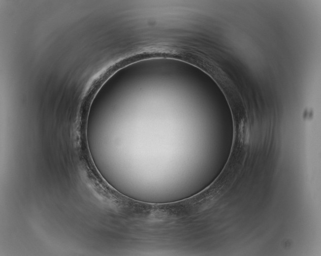 X0000113260388200909171655