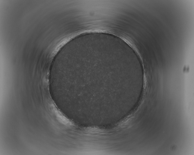 X0000113260389200909171655