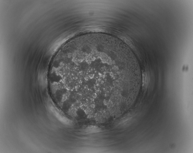 X0000113260390200909171654