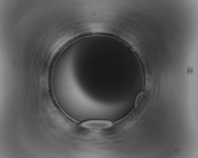 X0000113260391200909171654