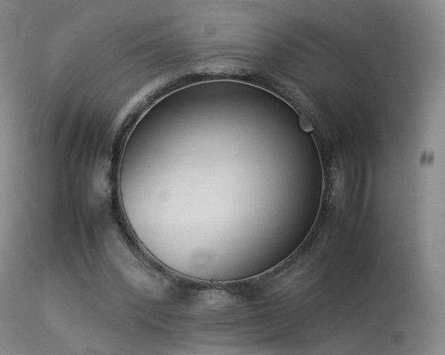 X0000113260392200909171654