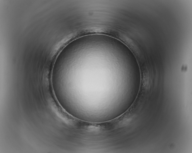 X0000113260394200909171654