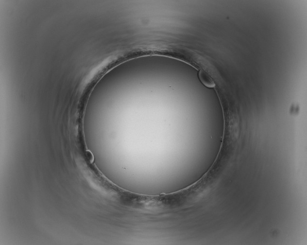 X0000113260395200909171654