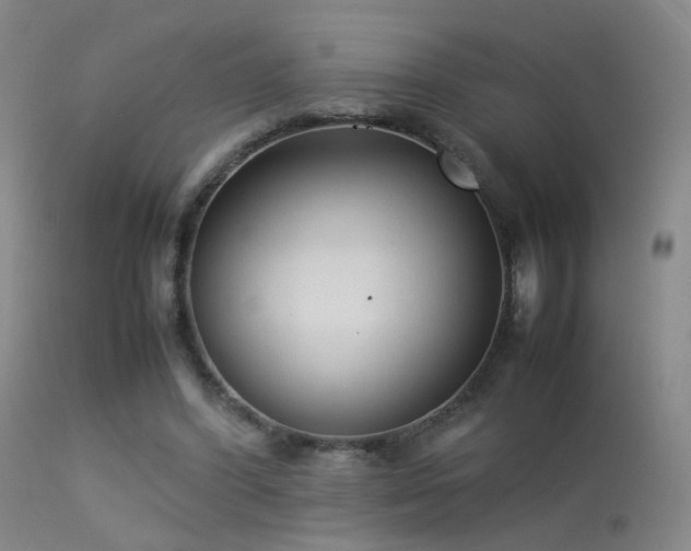 X0000113260396200909171654