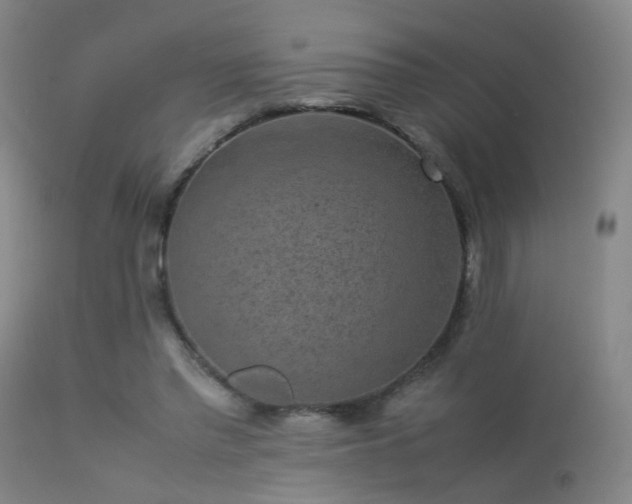 X0000113260397200909171654