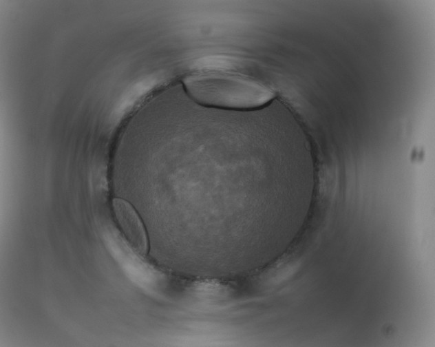 X0000113260399200909171654