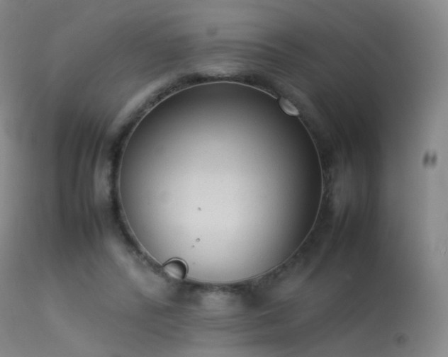 X0000113260400200909171654