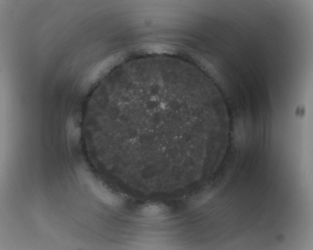 X0000113260402200909171654