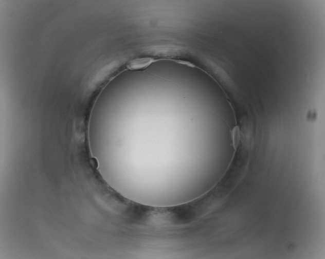 X0000113260403200909171654