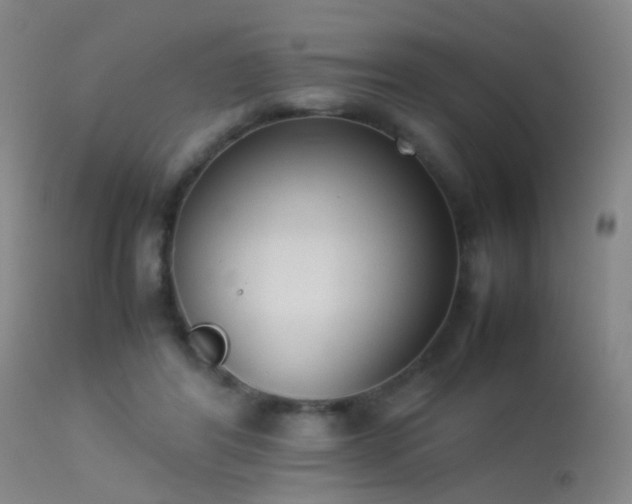 X0000113260404200909171654