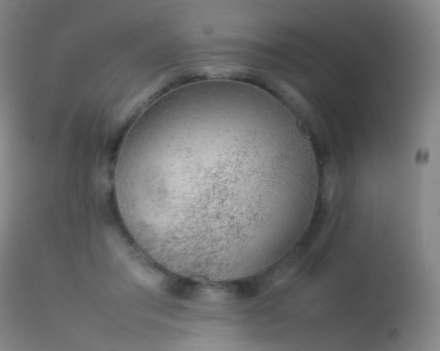 X0000113260405200909171654